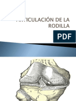 Biomecánica de La Articulación Radio Carpiana 2