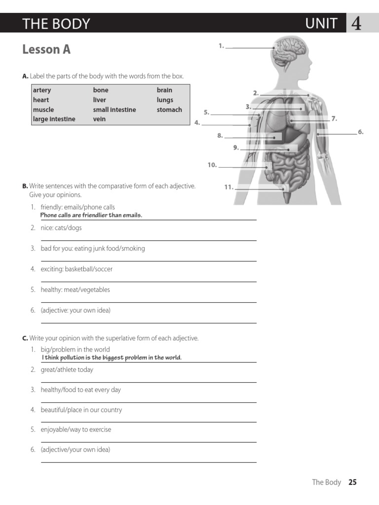 english world 3 unit 4 workbook