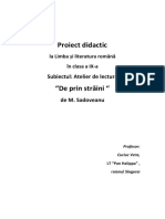 Proiect Didactic (Cuciuc Vera)