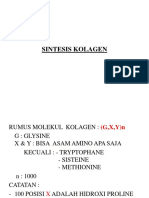 3 Sintesis Kolagen