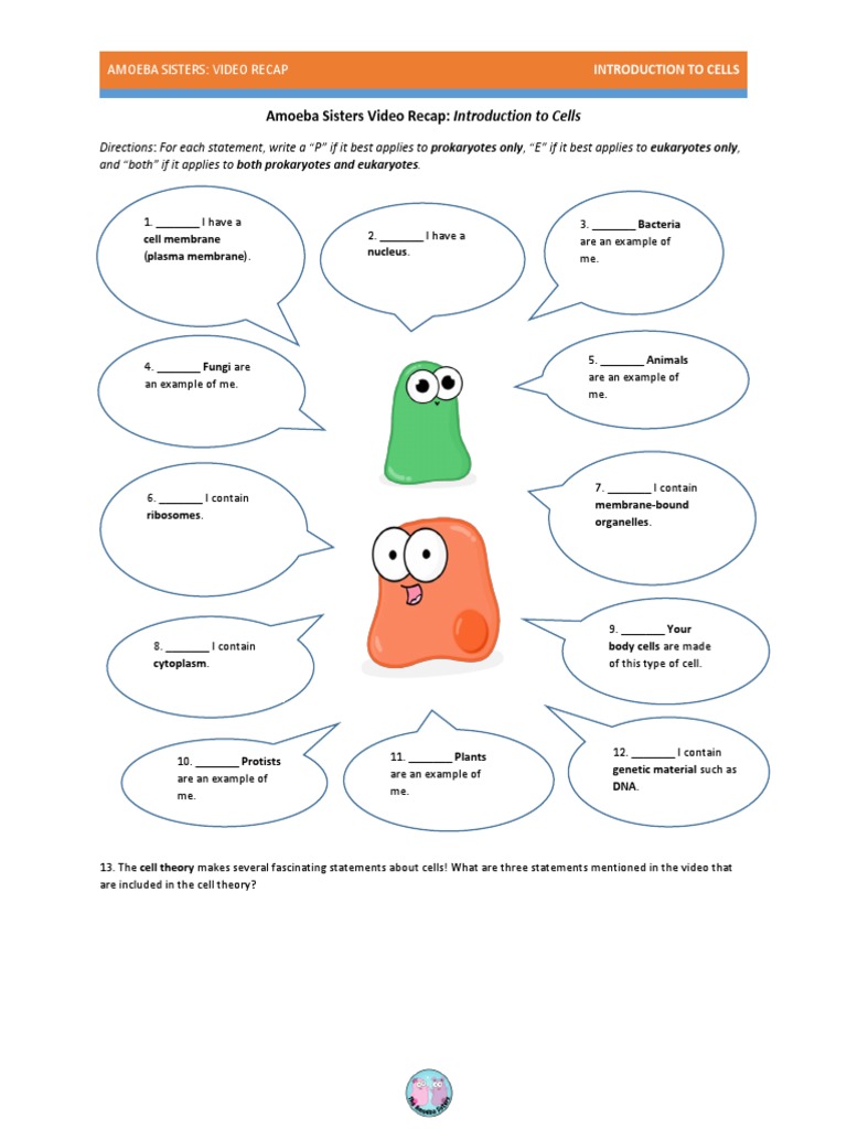 worksheet A Tour Of The Cell Worksheet amoeba sisters intro to cells eukaryotes cell biology