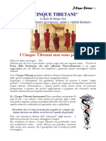 dispensa i cinque tibetani.pdf