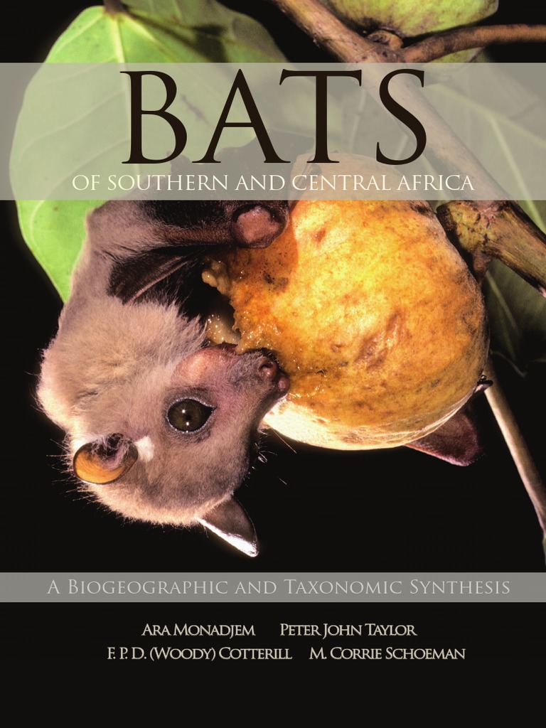 Bats of Southern and Central Africa | PDF | Bat | Species