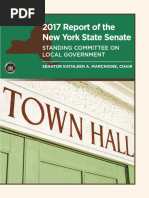 2017 Report of The NYS Senate Standing Committee On Local Government