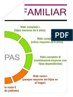 Ciclo de Vida Familiar