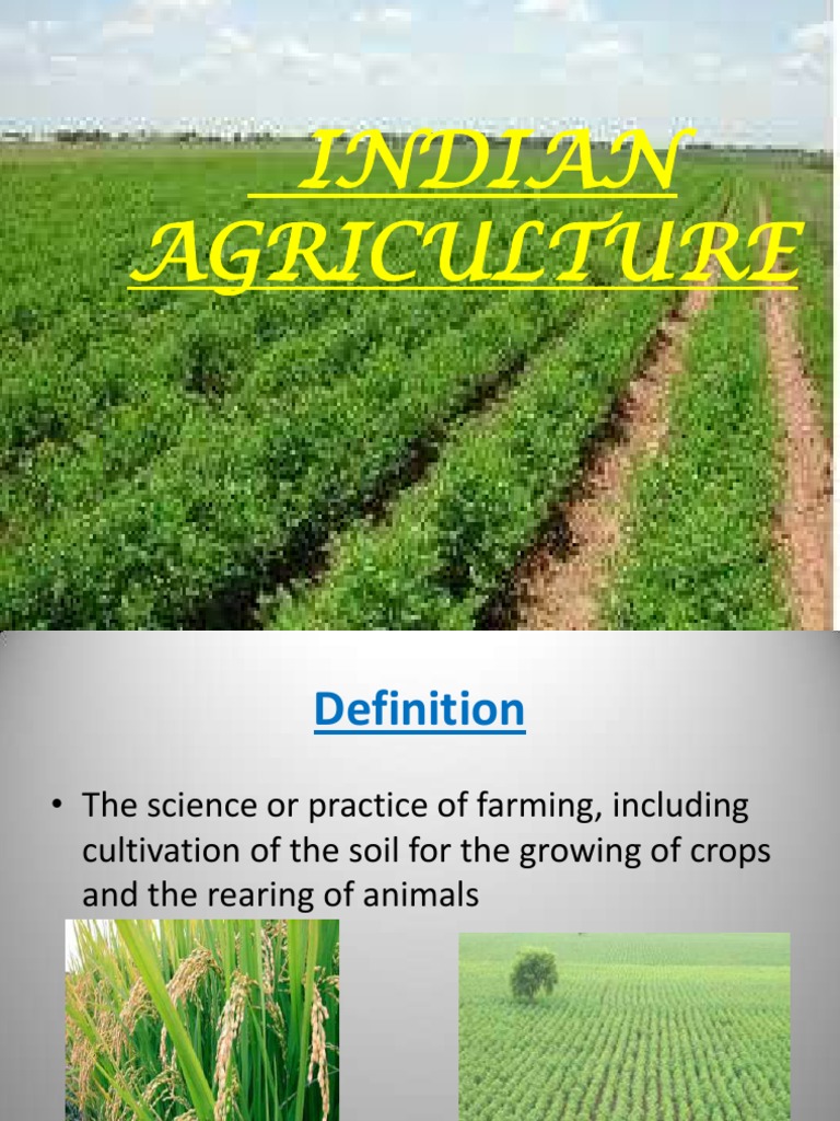 Overview of Indian Agriculture Sector | PDF | Green Revolution ...