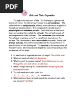 Cells and Organelles New - Answer KEY - Final