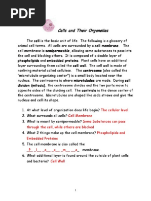 Cell Organelle Homework Doc Cell Organelles Worksheet