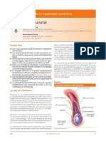 Mejorando la capacidad resolutiva de las masas escrotales