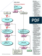 Adult Cardiac Arrest 2