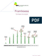 Tecnologias de produção de framboesa no sudoeste alentejano