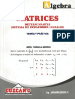 Cuzcano - Álgebra Matrices Teoría y Práctica