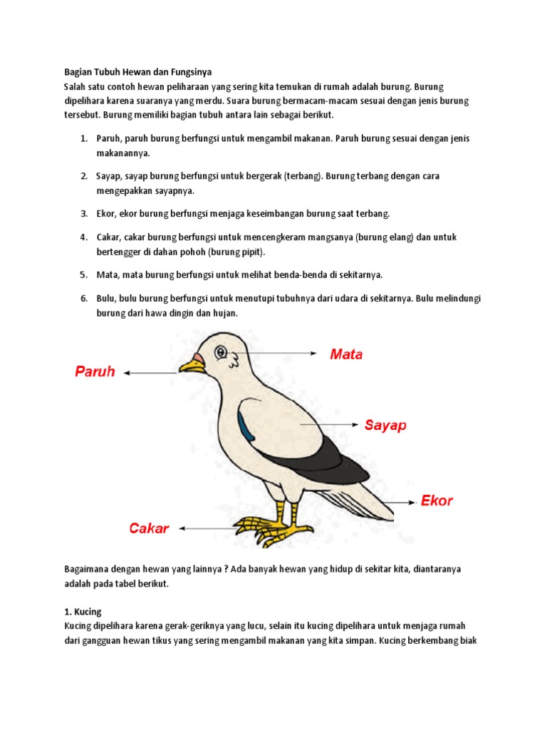 Bagian Tubuh Hewan Dan Fungsinya 2  PDF