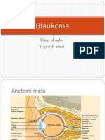 Glaukoma