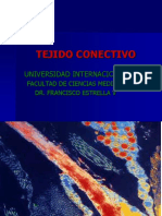 Tejido Conectivo