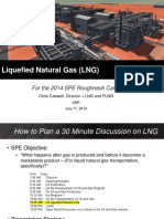 On_LNG_And_FLNG.pdf