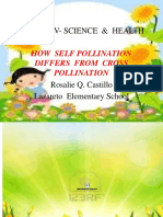 Grade Iv-Science & Health Grade Iv - Science & Health: How Self Pollination Differs From Cross Pollination
