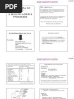 AULA I - Microrganismos Rizosfera e Ecologia
