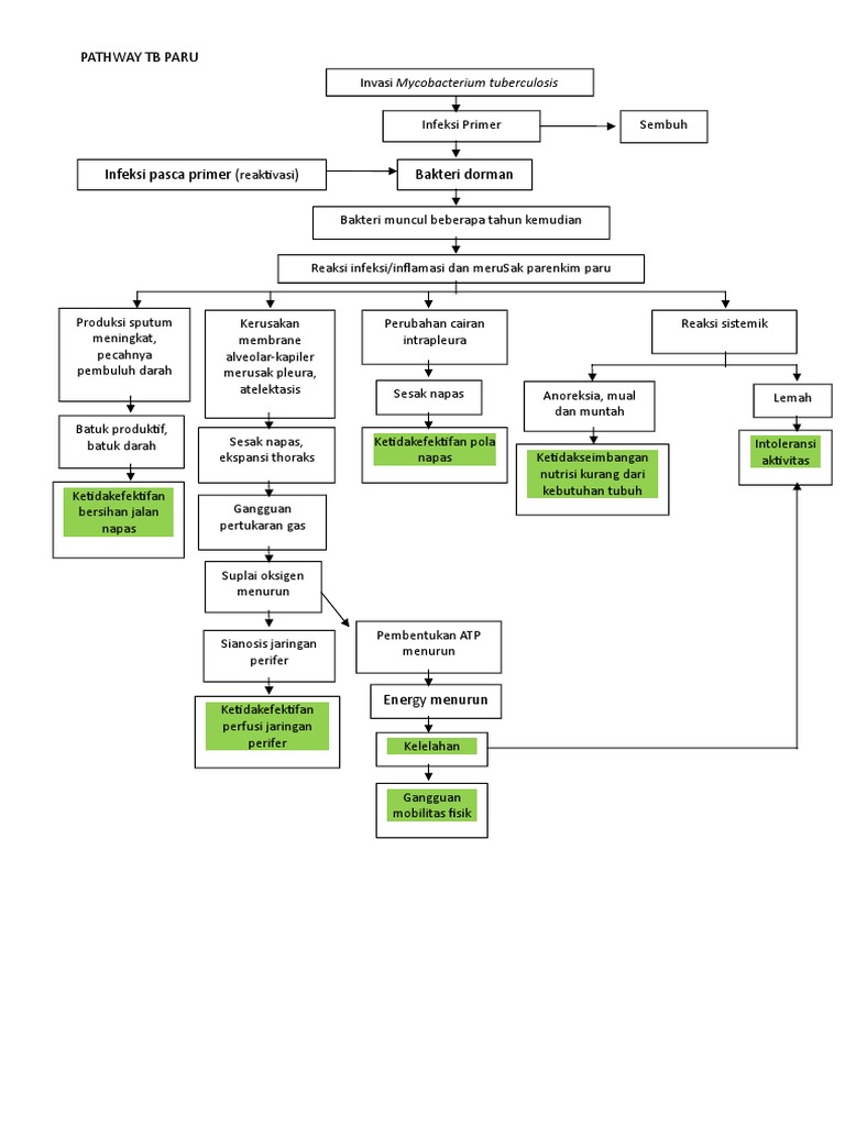 Pathway TB Paru 1 | PDF