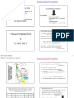 Ciclos biogeoquímicos