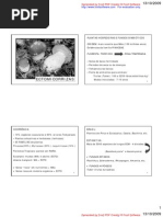 AULA VI - Ectomicorrizas