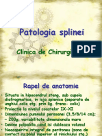 curs 13 - Patologia splinei.ppt