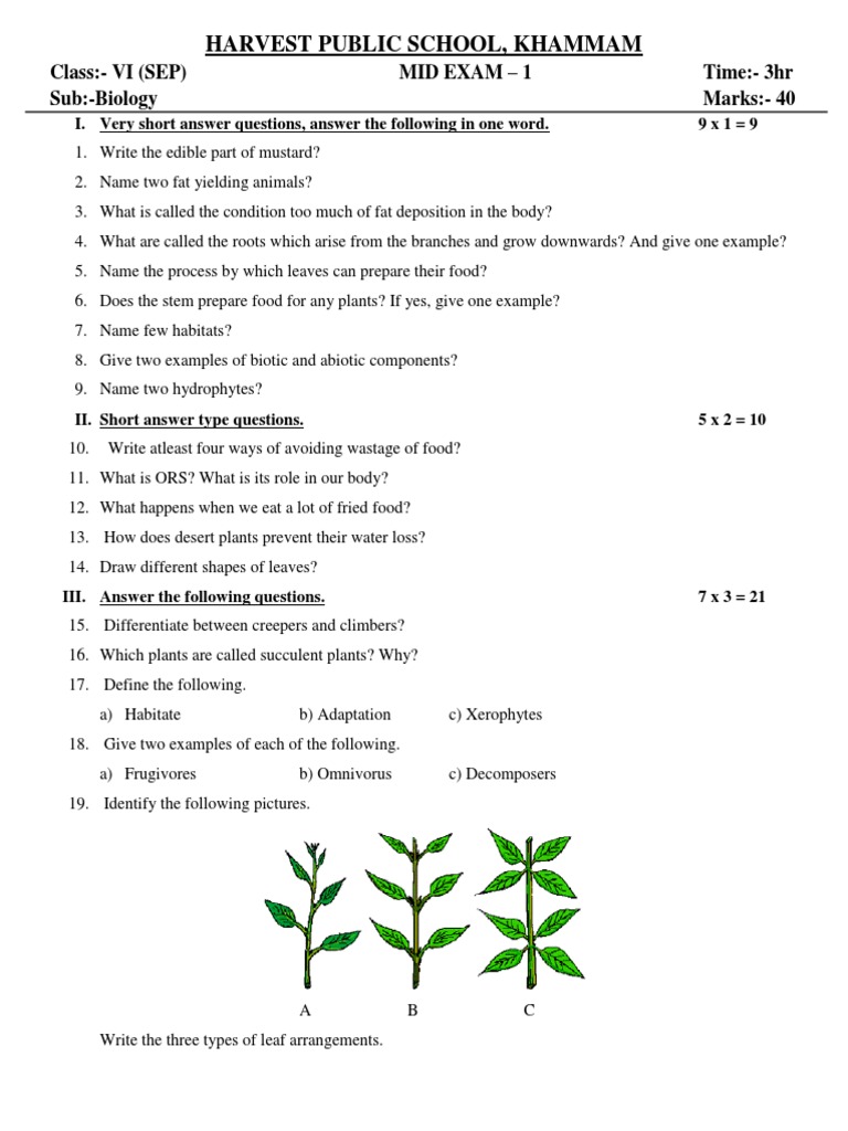 Harvest Public School, Khammam ClassVI (SEP) Mid Exam 1 Time