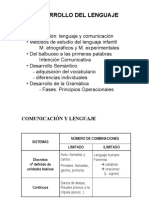 Desarrollo del lenguaje - presentacion.pdf