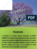 Cultivo de Paulownia: Árbol regenerador de suelos y productor de madera de alta calidad