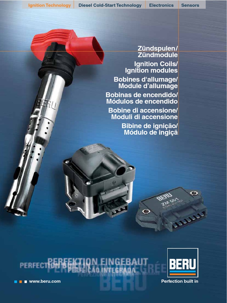 Bers PDF | PDF