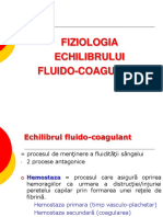 Echilibrul Fludo Coagulant