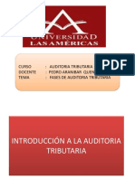 Ejemplos de Fases de Auditoria Tributaria