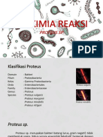 BIOKIMIA REAKSI