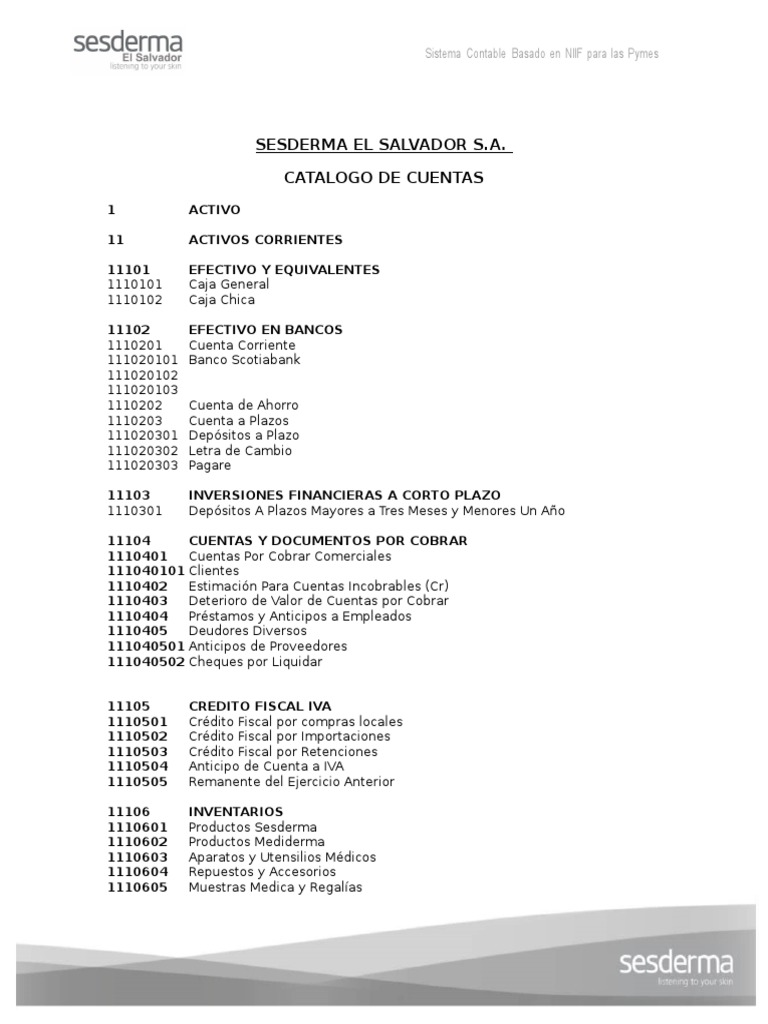 Catálogo de Cuentas para PYMES en El Salvador | PDF | Impuestos ...