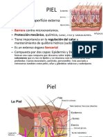 PIEL - resumo para michele.pdf