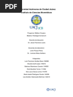 Electrodiagnóstico: NCS y EMG Explicados | PDF | Nervio | Potencial de ...
