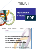 Tema1Micro PDF