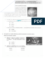 Teste Ciencias 5º Ano - 1 Periodo