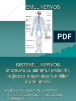 Anatomie SISTEMUL NERVOS