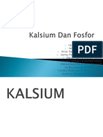 Kalsium Dan Fosfor
