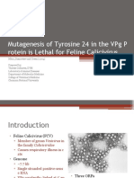 Mutagenesis of Tyrosine 24 in The VPG Protein