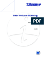 Near Wellbore Modeling PDF