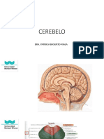 Cerebelo 