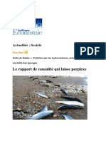 Rapport Echouage Poisson