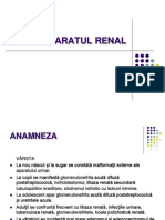 Aparatul Renal