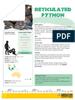 Reticulated Python Fact Sheet