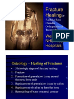Fracture Healing and Factors Affecting It