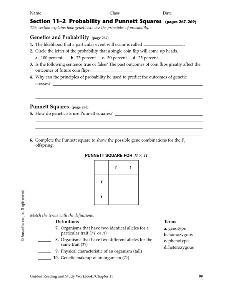 Worksheet Probability and Genetics | Allele | Genetics