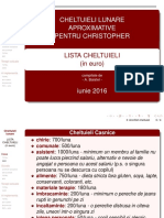 DEJA SCRIS in ROMANA Expenses Christopher 2016 Sent (1)