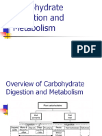  Carbohydrate Digestion